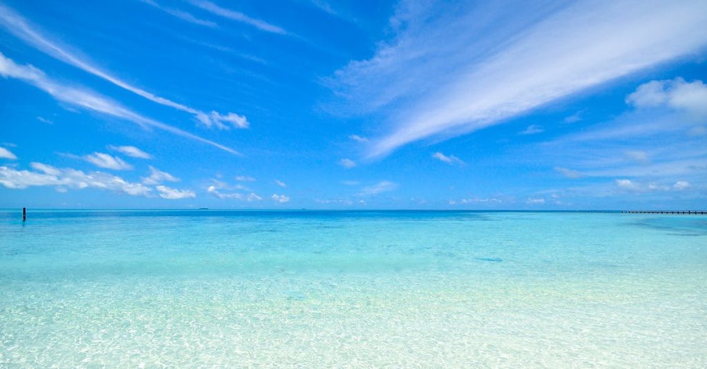 découvrez les plus belles plages, des étendues de sable fin aux eaux cristallines, parfaites pour la détente, la baignade et les activités nautiques.