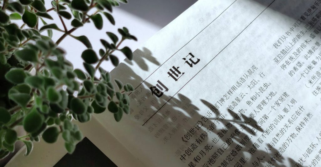 découvrez pamukkale, merveille naturelle en turquie célèbre pour ses terrasses de travertin blanc et ses eaux thermales bienfaisantes. explorez ce site unique au patrimoine mondial de l'unesco.