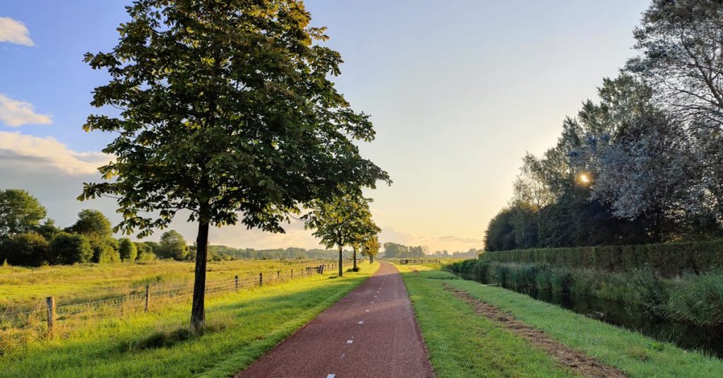 découvrez un guide complet pour un road trip inoubliable aux pays-bas, avec les meilleures routes, attractions incontournables et conseils pratiques pour explorer ce pays magnifique en voiture.