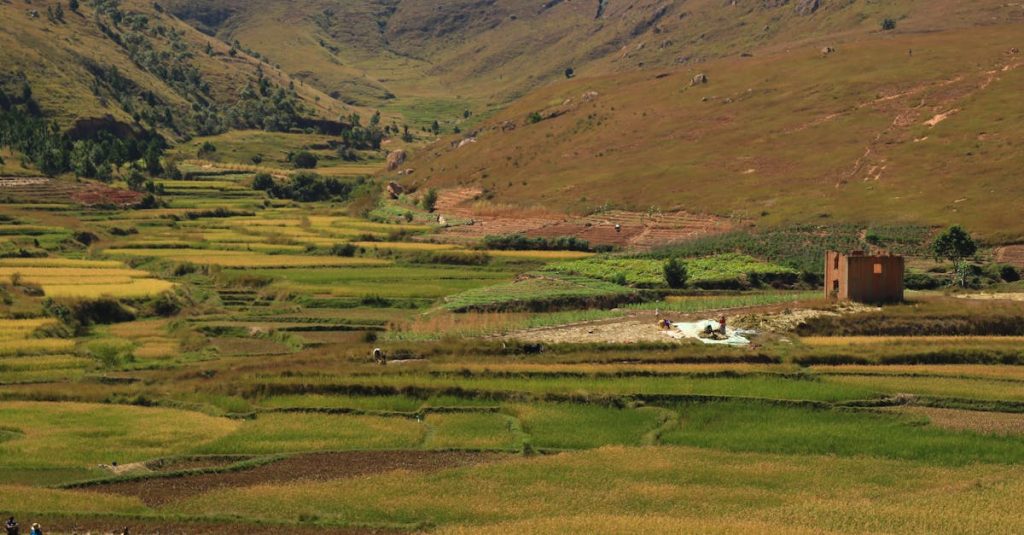 découvrez madagascar, une île unique aux paysages variés et impressionnants, offrant une longueur exceptionnelle et une biodiversité fascinante.