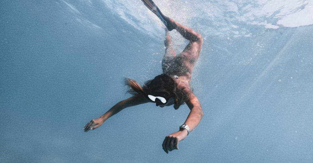 découvrez le monde sous-marin avec nos guides et conseils pour la plongée. explorez les fonds marins en toute sécurité et profitez d'expériences inoubliables.
