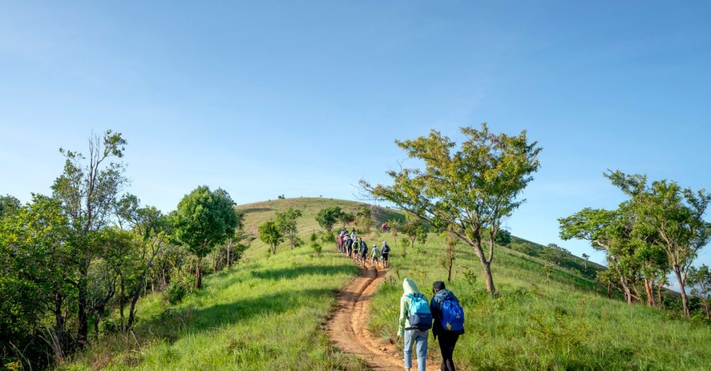 découvrez nos conseils et itinéraires pour la randonnée, profitez de la nature et améliorez votre bien-être grâce à nos guides de hiking pour tous les niveaux.