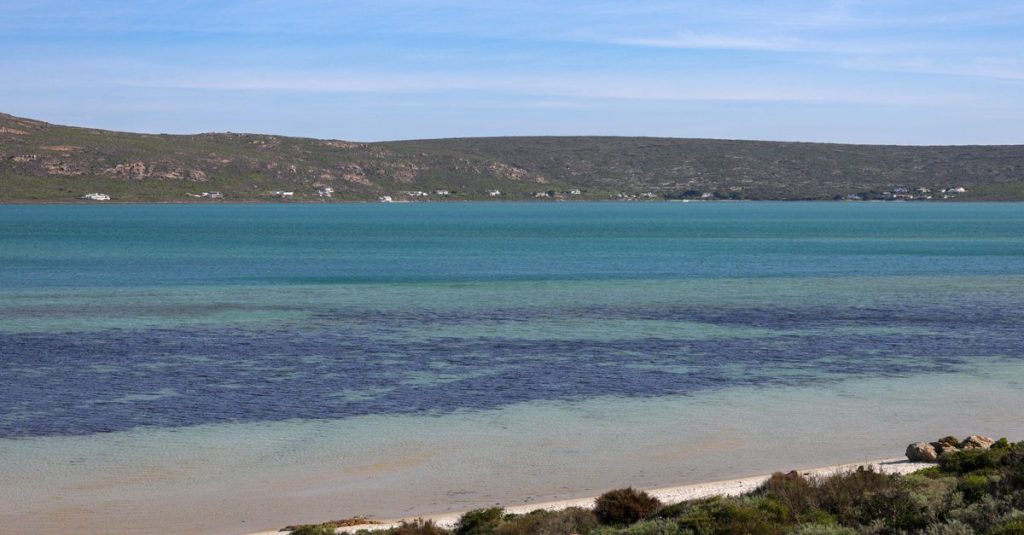 découvrez lagoon beach, une plage paradisiaque offrant des eaux turquoise, du sable fin et un cadre idyllique pour des vacances inoubliables au bord de la mer.