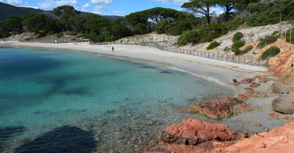 découvrez maldorme beach, un paradis côtier offrant des plages de sable fin, des eaux cristallines et un cadre naturel préservé idéal pour la détente et les activités nautiques.