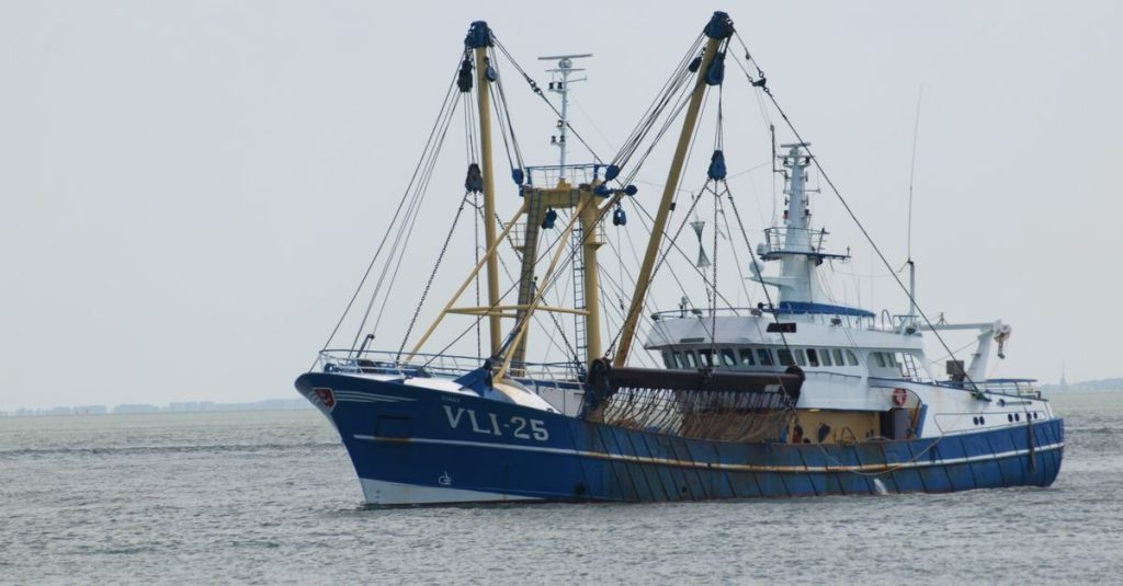 vesselfinder : suivez en temps réel la position des navires dans le monde entier, accédez aux informations détaillées sur les bateaux et bénéficiez des dernières mises à jour maritimes.