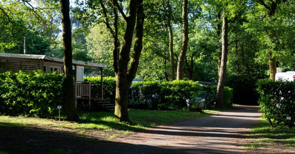 découvrez les meilleurs campings du finistère pour des vacances inoubliables en pleine nature, entre plages, forêts et paysages bretons authentiques.
