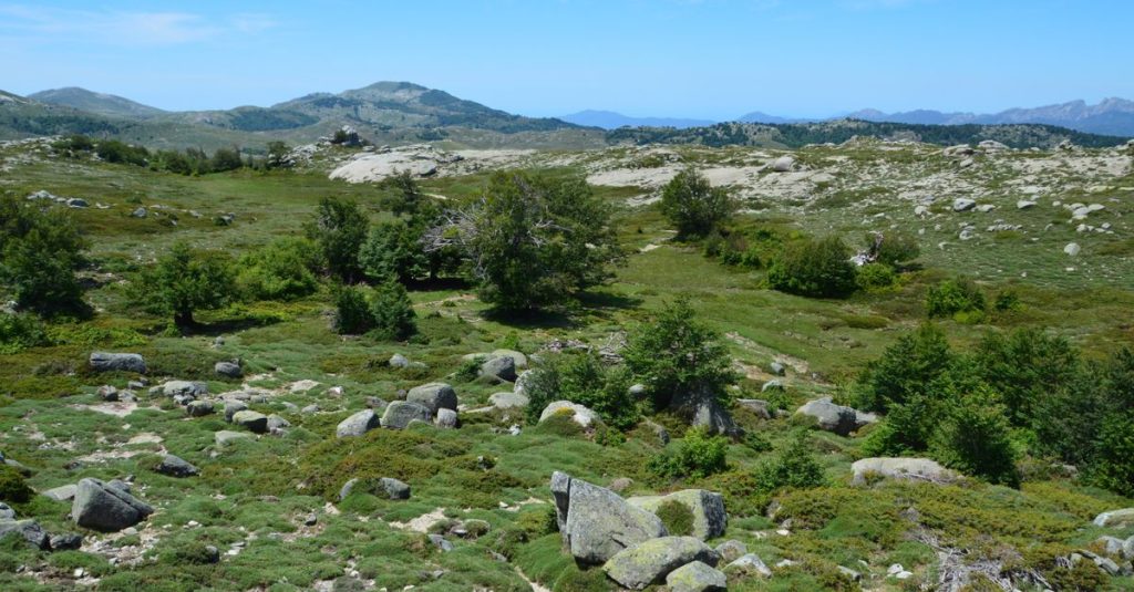 découvrez les meilleures activités à faire en corse même sous la pluie : visites culturelles, dégustations, musées et balades indoor pour profiter pleinement de votre séjour.