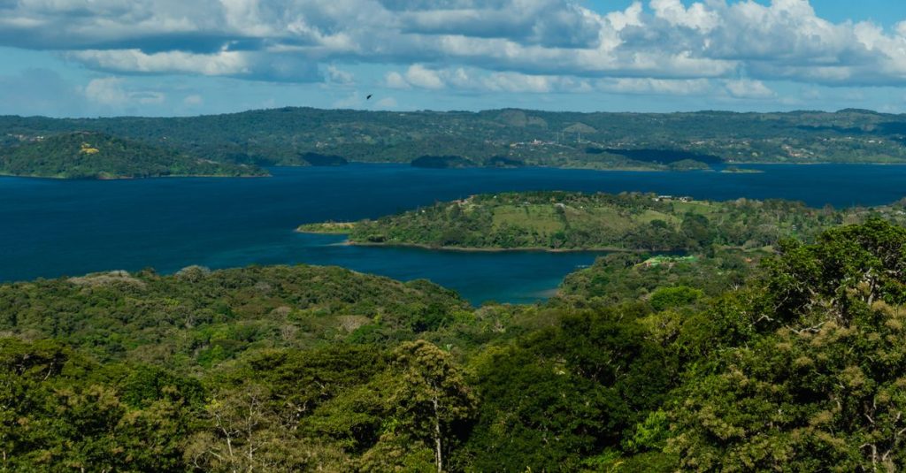 découvrez le lac gatún, un lac artificiel emblématique du canal de panama, entouré d'une nature luxuriante et offrant des paysages spectaculaires.