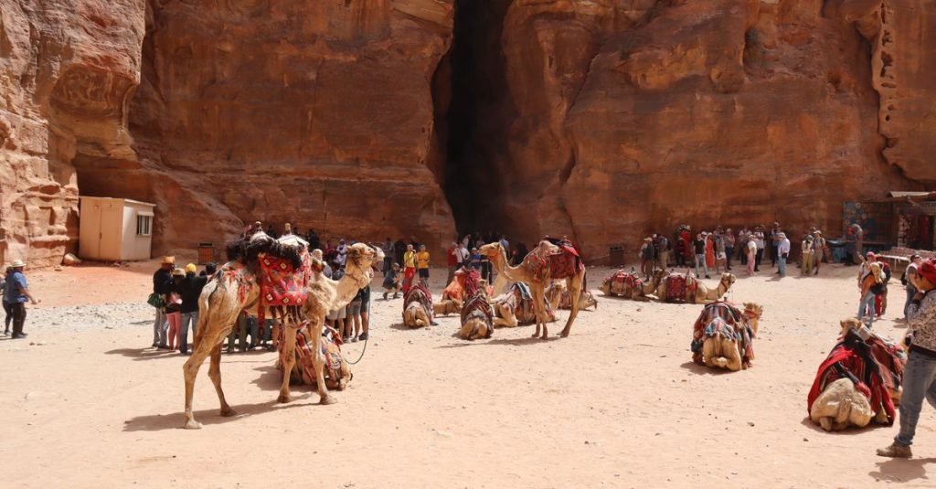 découvrez siq al-barid, une ancienne cité nabatéenne souvent appelée la petite pétra, célèbre pour ses impressionnantes ruines taillées dans la roche et son histoire fascinante.